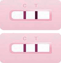 Положительный тест